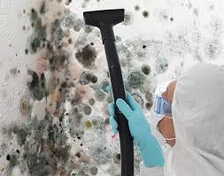 Best Mold Remediation for Rental Properties  in Pittsboro, IN